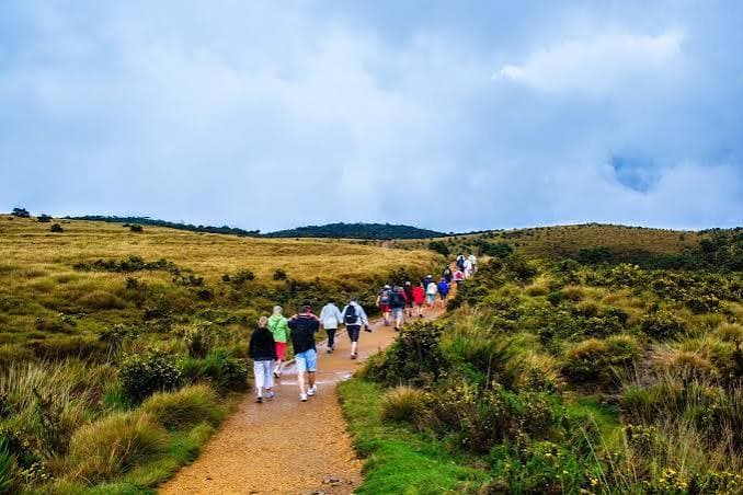 New Conservation Plan for Horton Plains