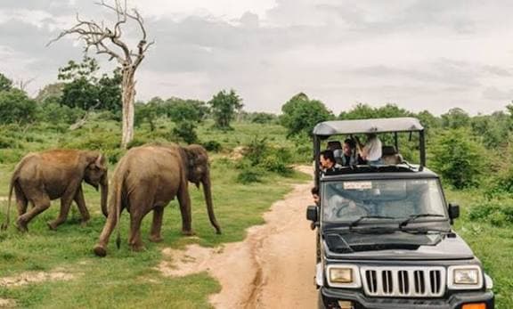 Yala Zones 01 and 02 Temporarily Closed